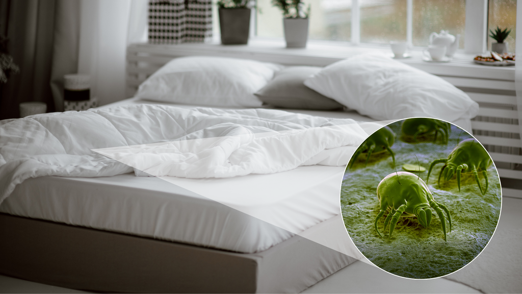 Why Washing Your Bedding Often Is More Important Than You Think