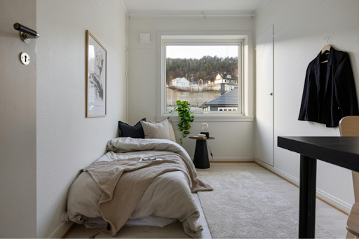 The Best Bedding for Dorm Rooms: Comfort and Style for Students